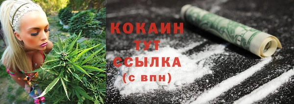 соль ск Верея