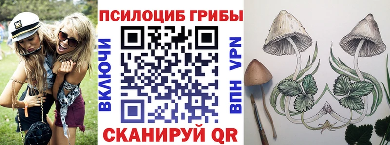 МЕГА ТОР  Верхняя Тура  Галлюциногенные грибы MAGIC MUSHROOMS 